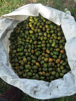 product-300-400 raw material