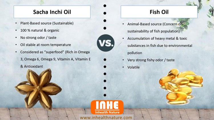 The Differences between Sacha Inchi Seed Oil and Fish Oil