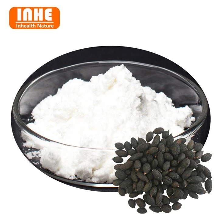 Pó de extrato de bagas de Saw Palmetto
