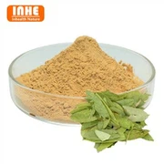 Extrato de folha de senna em pó