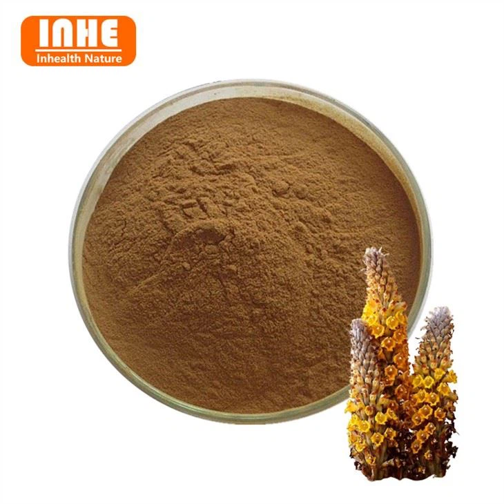 Extrato de Cistanche em Pó