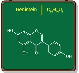 How Does Genistein Powder Affect Human Heart Health?