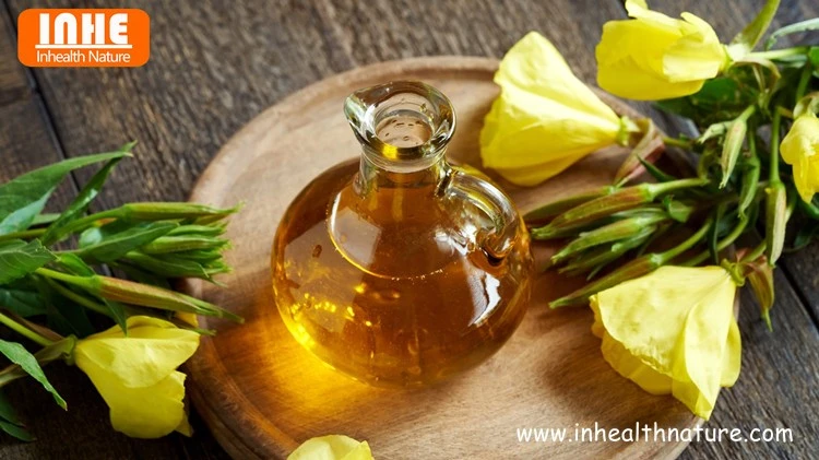 Evening Primrose Oil