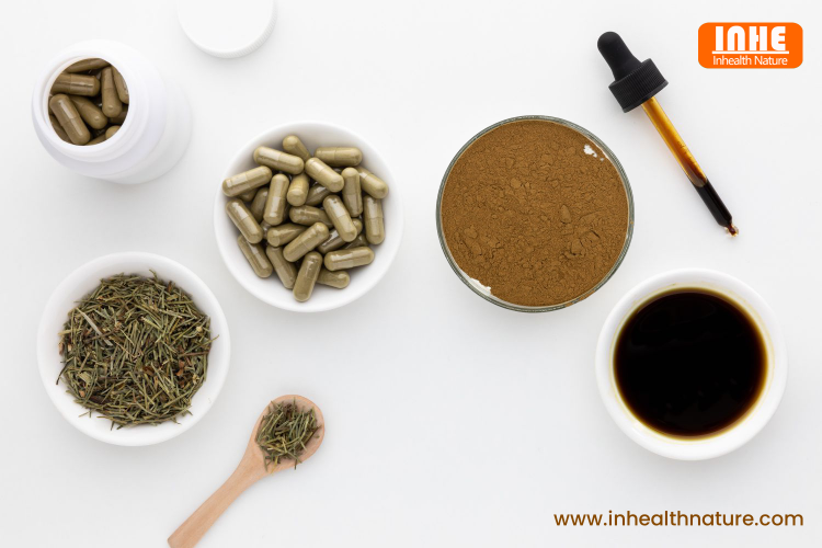 Horsetail Extract for Bone Health and Osteoporosis