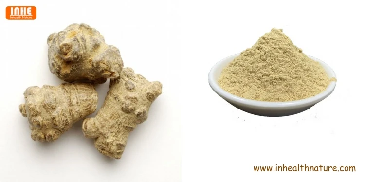 Panax Notoginseng and Panax Notoginseng Powder Panax Notoginseng and Panax Notoginseng Powder
