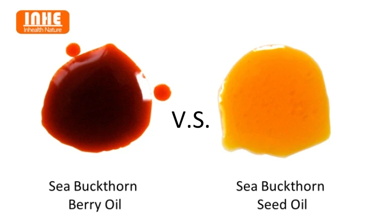 Sea Buckthorn Berry Oil vs Sea Buckthorn Seed Oil