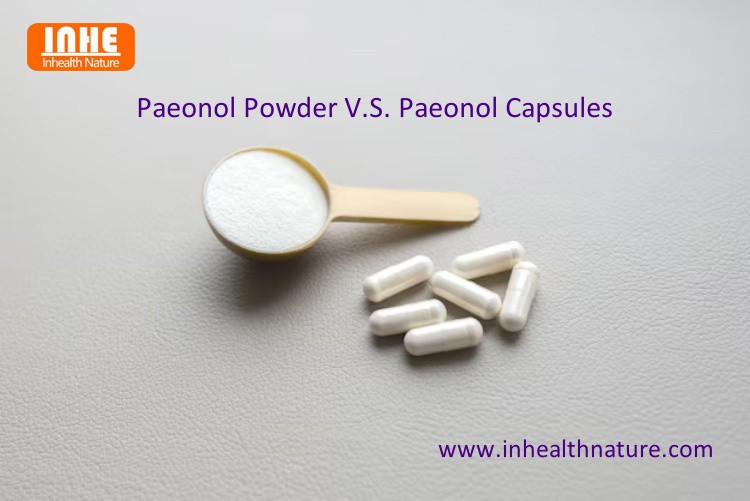 Paeonol Powder or Paeonol Capsules