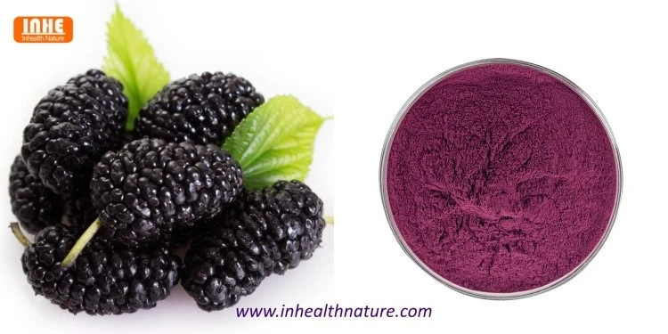 Mulberry and Mulberry Fruit Powder Mulberry and Mulberry Fruit Powder