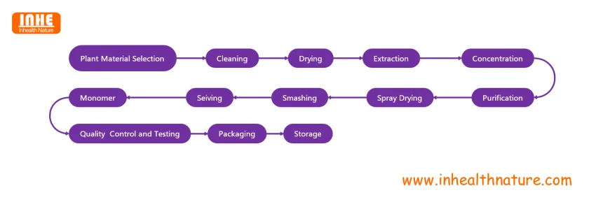 Monomer Flow Chart